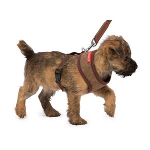House of Paws Memory Foam Harness - Small