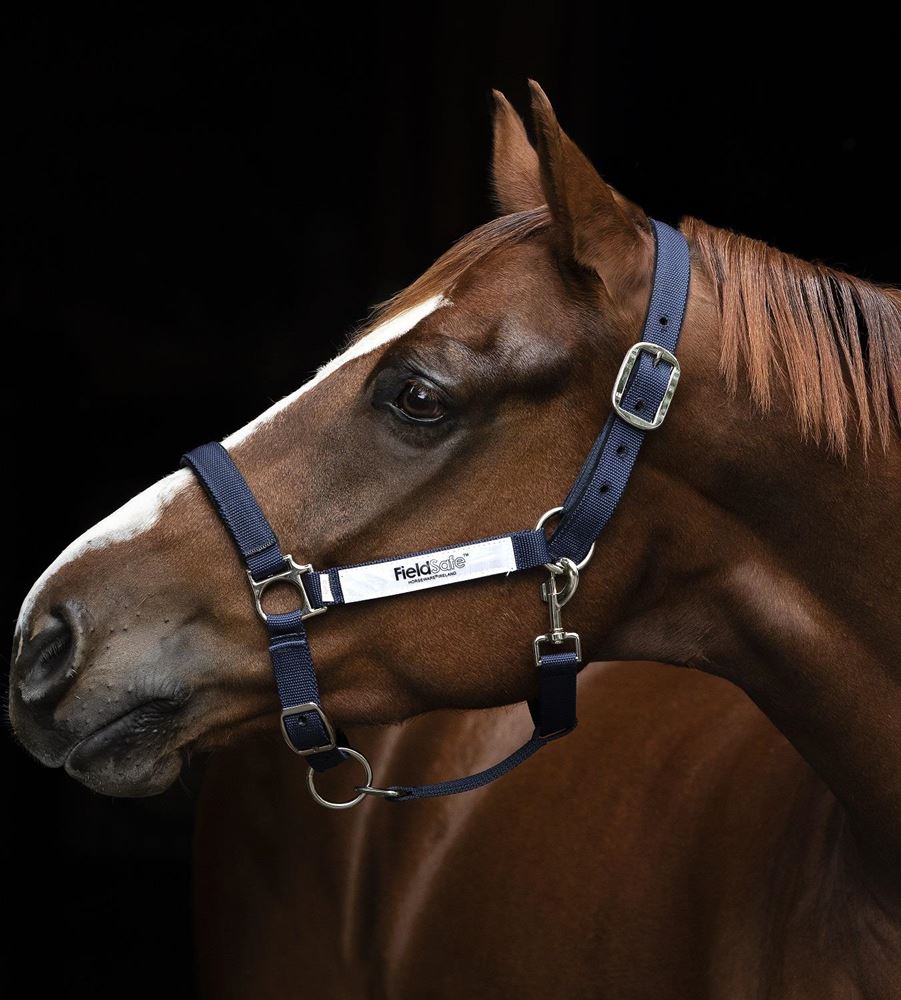 Horseware Ireland Field Safe Headcollar (Navy)