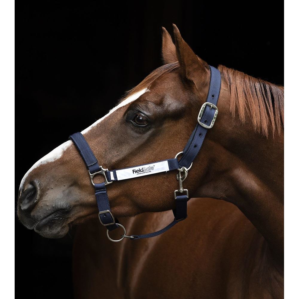 Horseware Ireland Field Safe Headcollar (Navy)