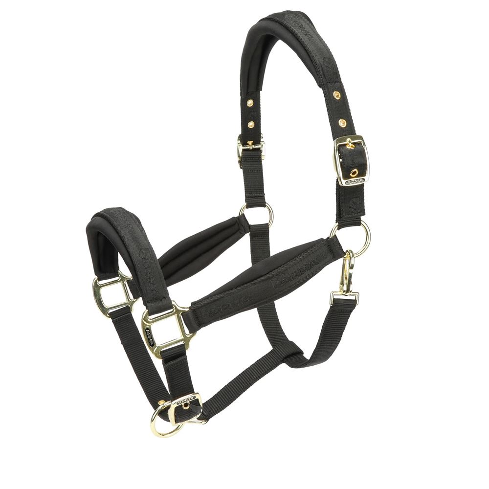 Shires Arma Padded Headcollar (Black)