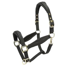 Shires Arma Padded Headcollar (Black)