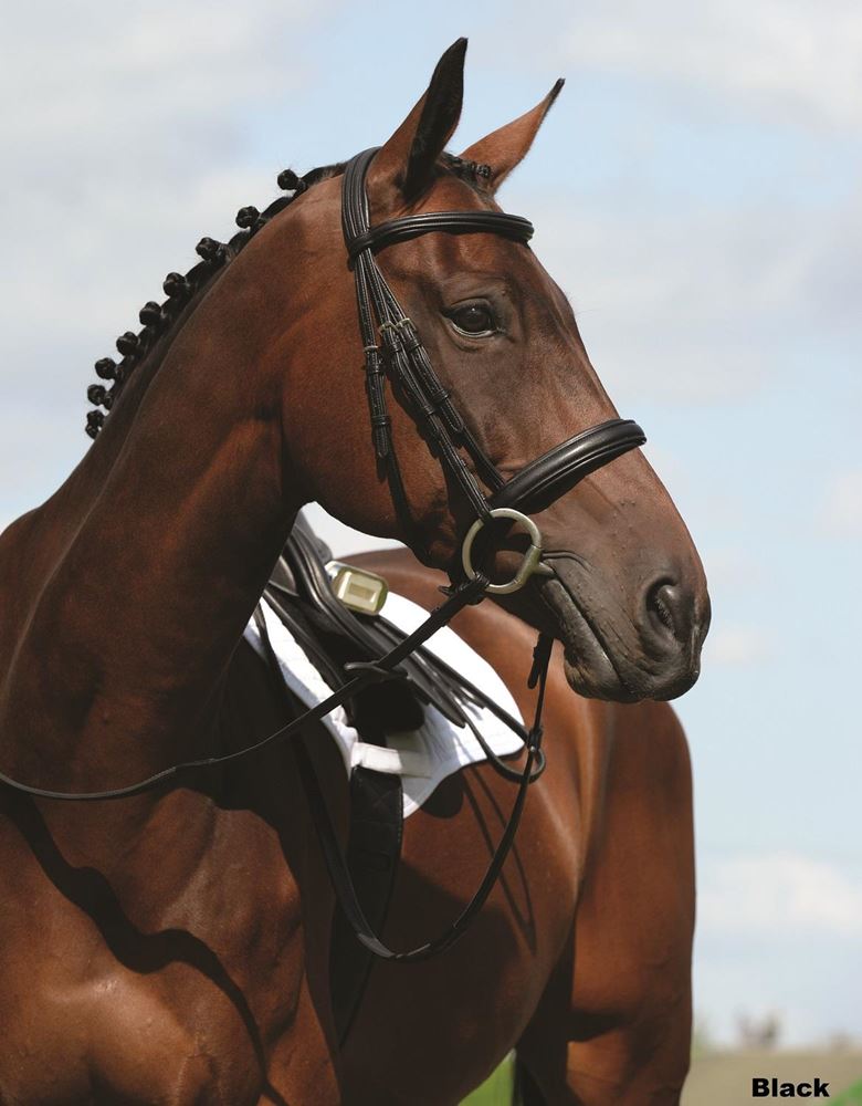 Collegiate Syntovia+ Padded Raised Cavesson Bridle
