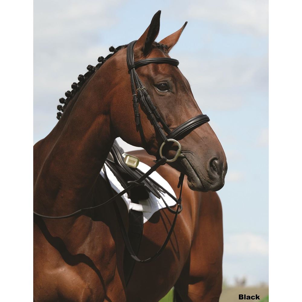 Collegiate Syntovia+ Padded Raised Cavesson Bridle