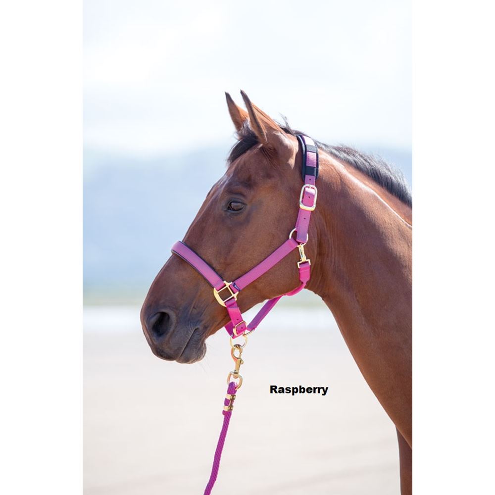 Shires Topaz Nylon Headcollar