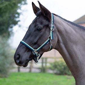Hy Equestrian Trinity Head Collar (Navy/Green/Light Green)