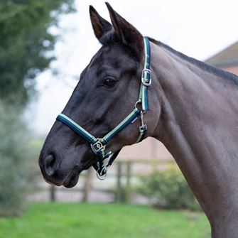Hy Equestrian Trinity Head Collar (Navy/Green/Light Green)