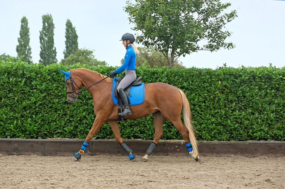 Hy Sport Active Ladies Base Layer (Jewel Blue)