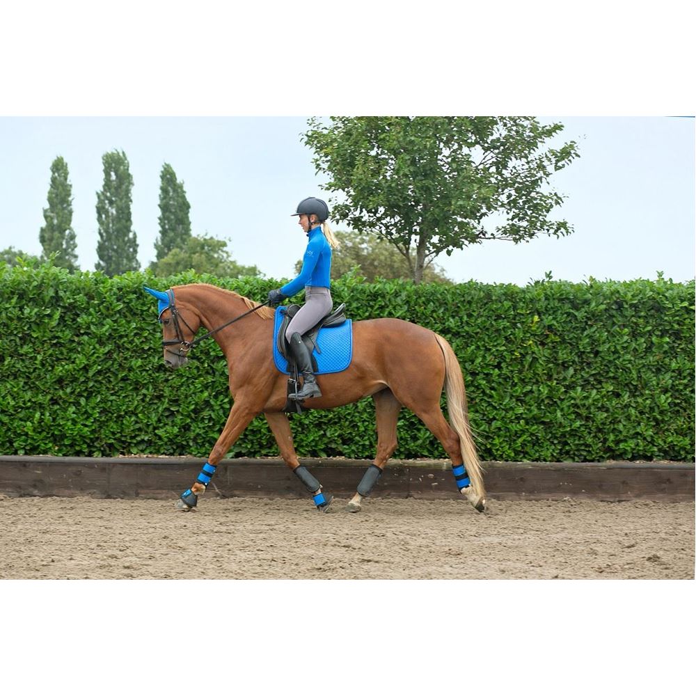 Hy Sport Active Ladies Base Layer (Jewel Blue)