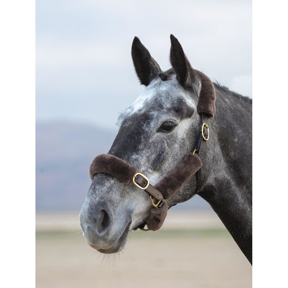 Shires Performance SupaFleece Halter Fleeces (6 Piece)