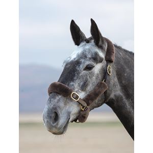 Shires Performance SupaFleece Halter Fleeces (6 Piece)