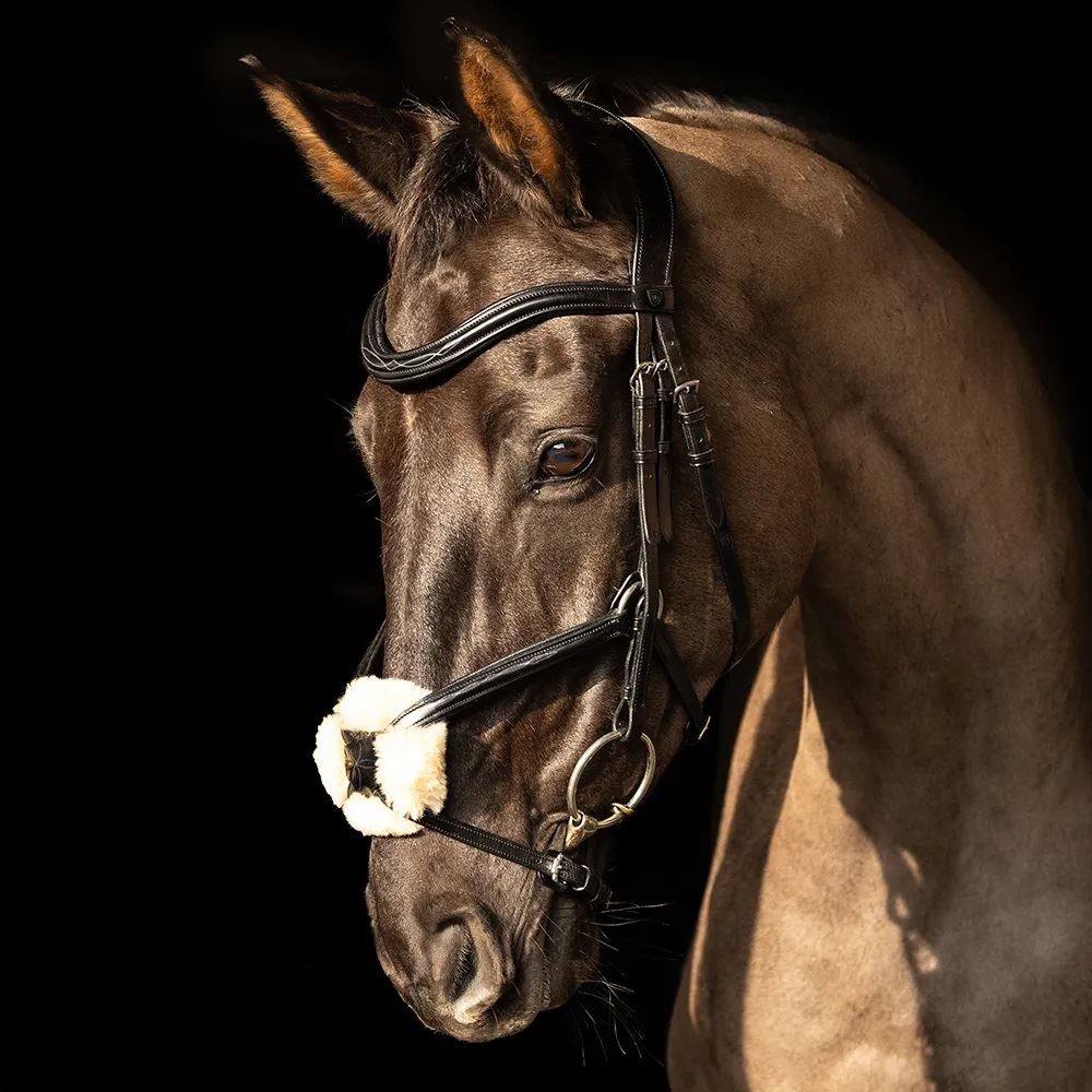 ProPresicce Pelle Grackle Leather Bridle by Hy Equestrian (Black with Silver Hardware)