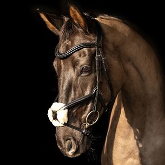 ProPresicce Pelle Grackle Leather Bridle by Hy Equestrian (Black with Silver Hardware)