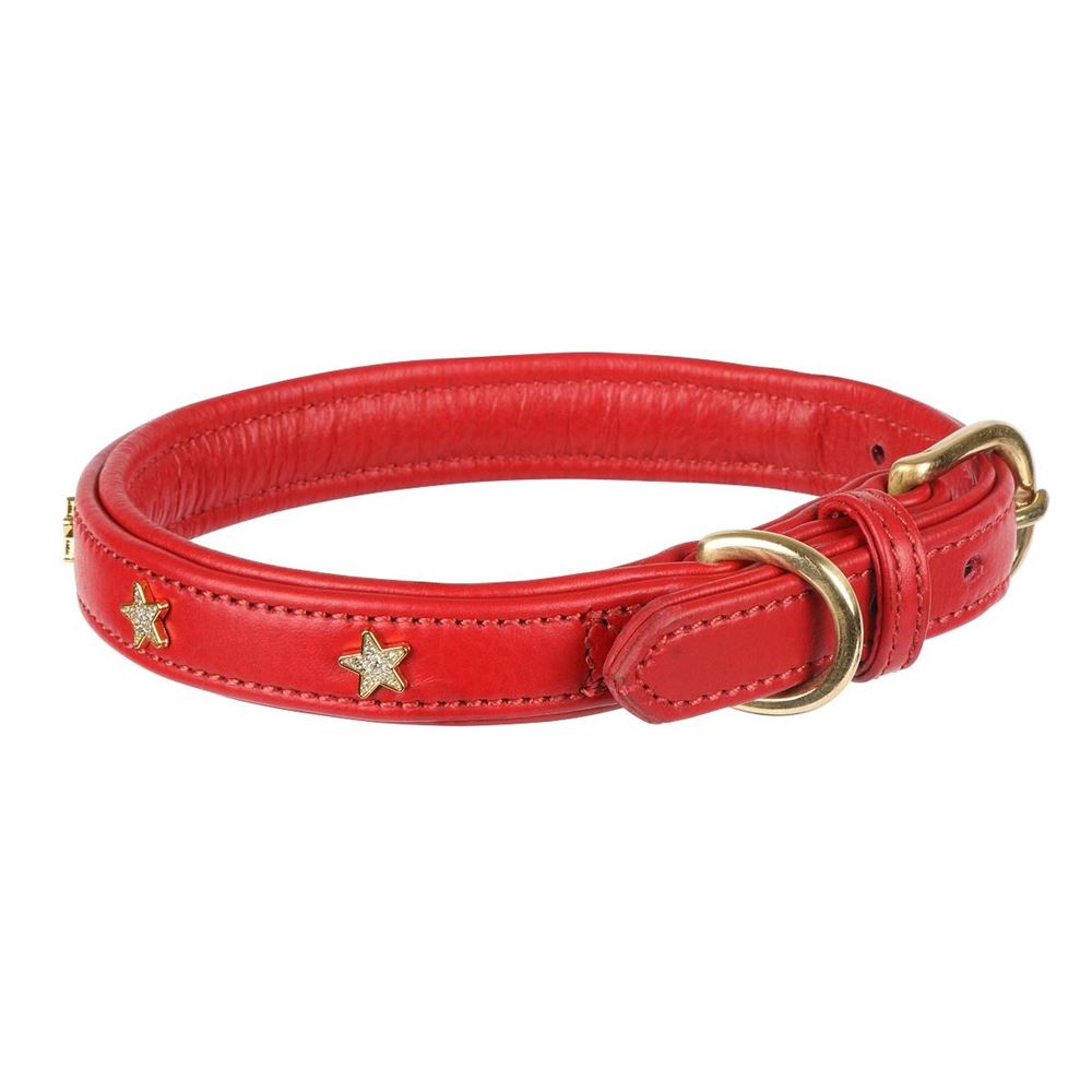 **barcodes** Digby & Fox Star Dog Collar - L, XL, XXL (Scarlett)