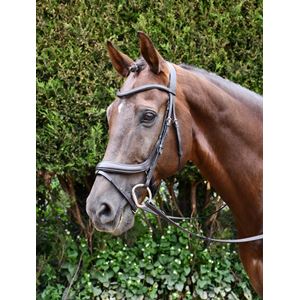 Rhinegold Leather Pro-Anatomical Bridle