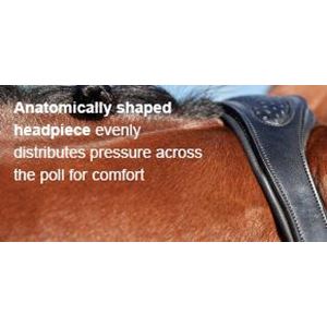 Collegiate Comfitec Crystal Bridle