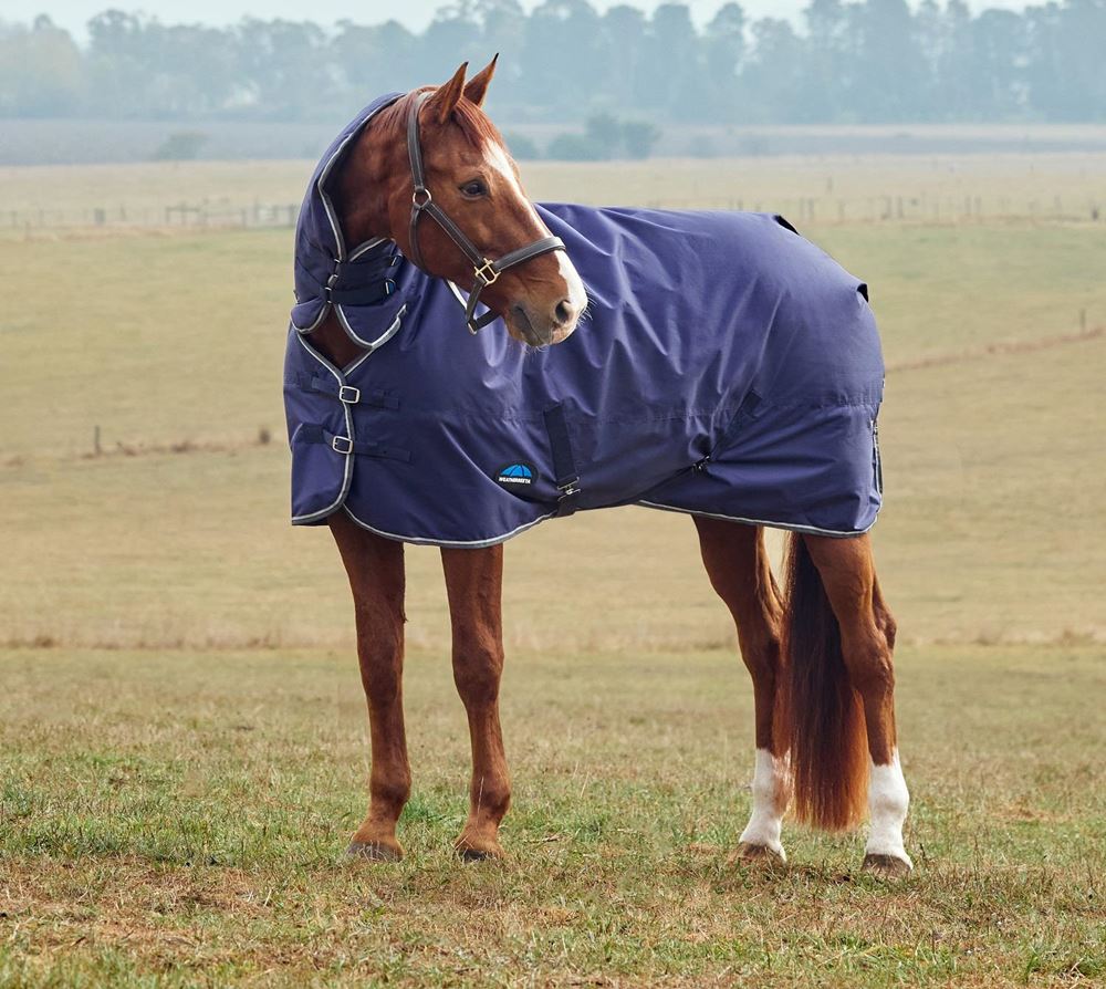 Weatherbeeta Comfitec Tyro Turnout Combo - 220g (Navy/Charcoal)