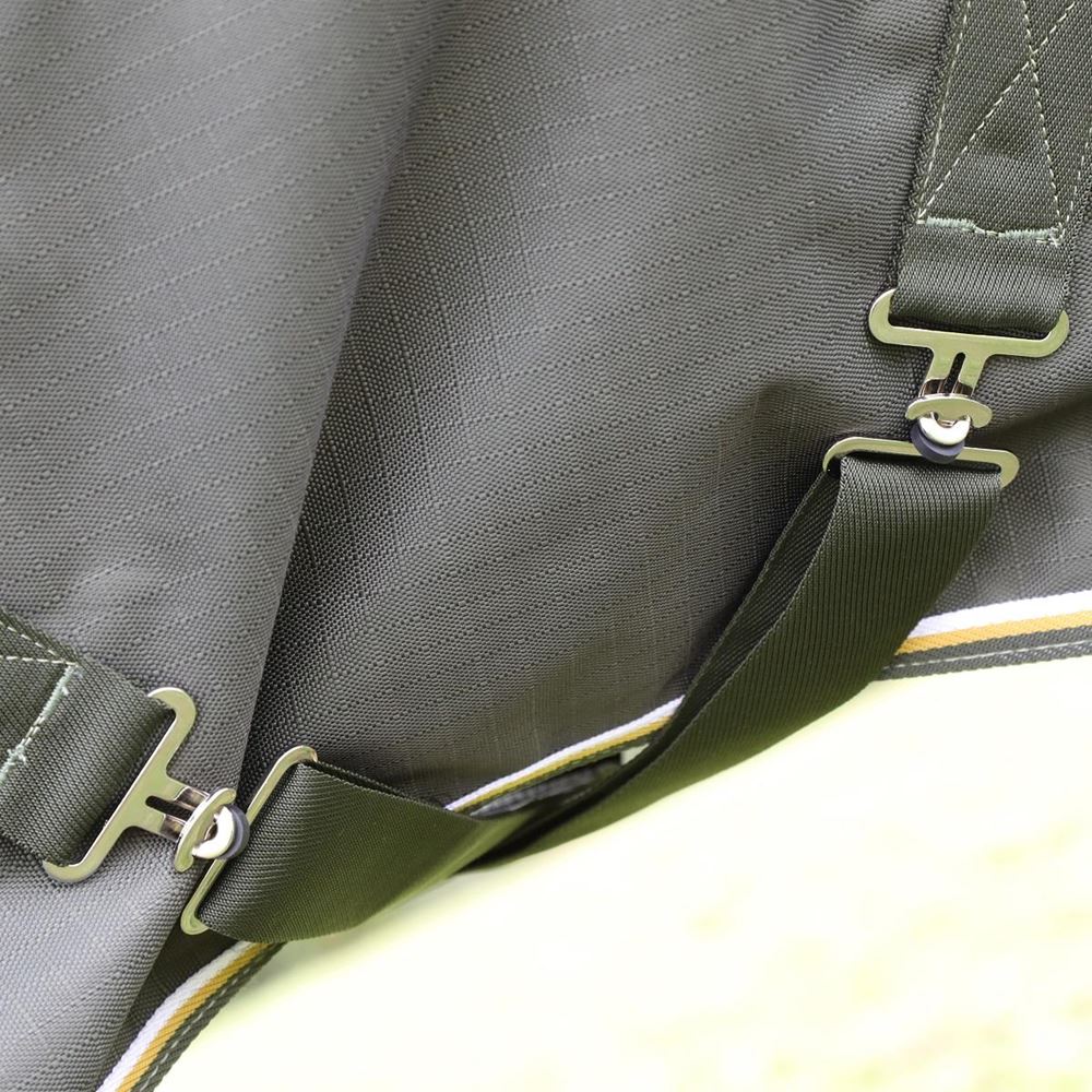 Shires Highlander Plus 50 Turnout Rug (Green)