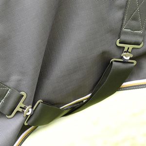 Shires Highlander Plus 50 Turnout Rug (Green)