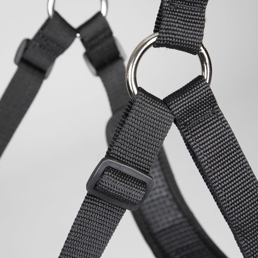 Shires FreeGraze Comfort Grazing Muzzle