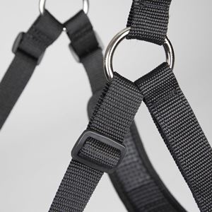 Shires FreeGraze Comfort Grazing Muzzle