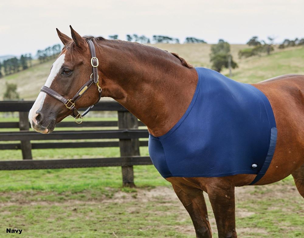 Weatherbeeta Stretch Shoulder Guard