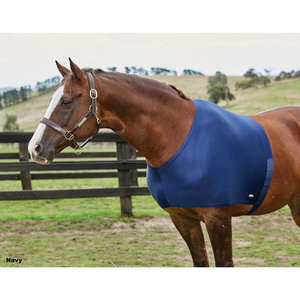 Weatherbeeta Stretch Shoulder Guard