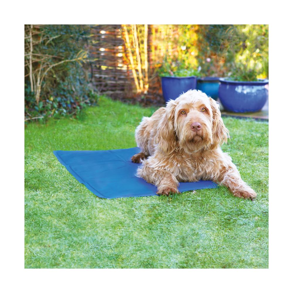 Rosewood Pet Cool Mat - Small 