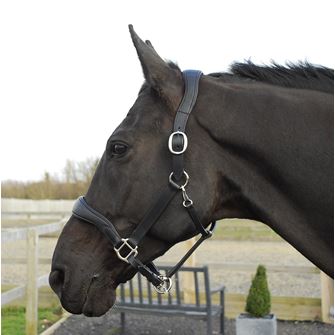 Rhinegold Softee Pro-Anatomical Leather Headcollar (Black)