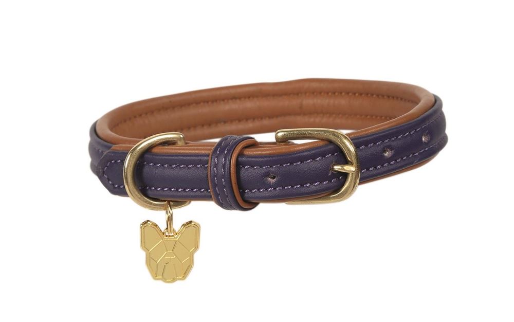 Shires Digby & Fox Padded Leather Dog Collar XL - XXL