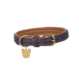 Shires Digby & Fox Padded Leather Dog Collar XL - XXL