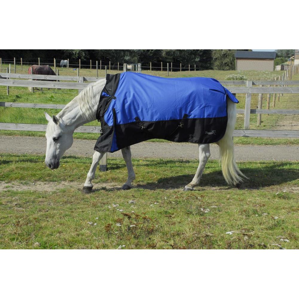 Rhinegold Phoenix Outdoor Rug - 50g (Royal Blue)