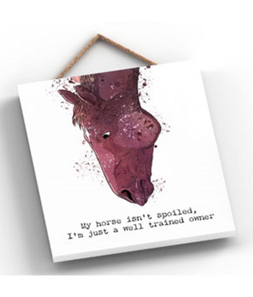 Medium Off Square Plaque - Well Trained Owner