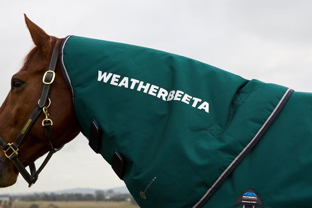 Weatherbeeta Comfitec Plus Dynamic Turnout Detach-A-Neck - 220g (Forest Green/Navy)