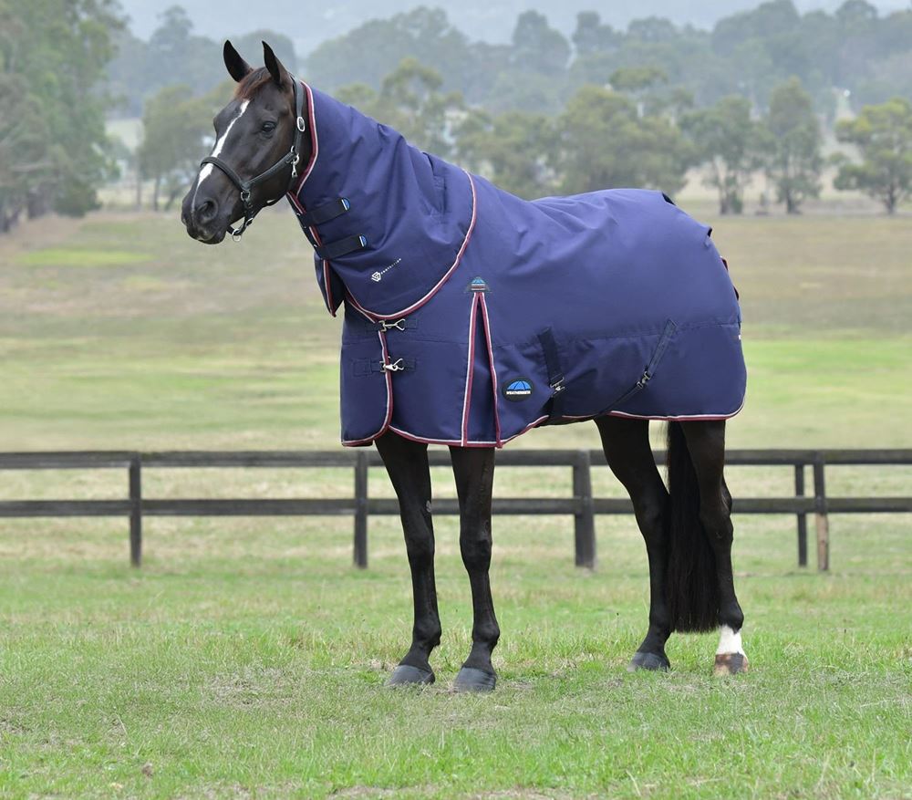 Weatherbeeta Comfitec Essential Turnout Detach-A-Neck - 50g (Navy/Burgundy)