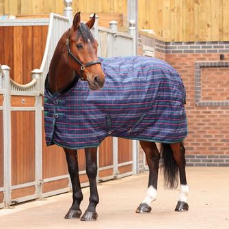 Shires Tempest Plus 100 Stable Rug (Navy Tartan)
