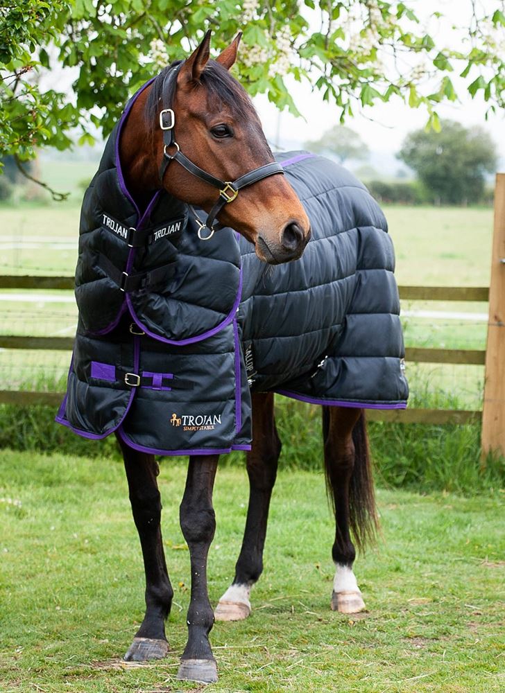 Gallop Trojan Dual 200 Stable Rug & Neck Set (Black/Purple)