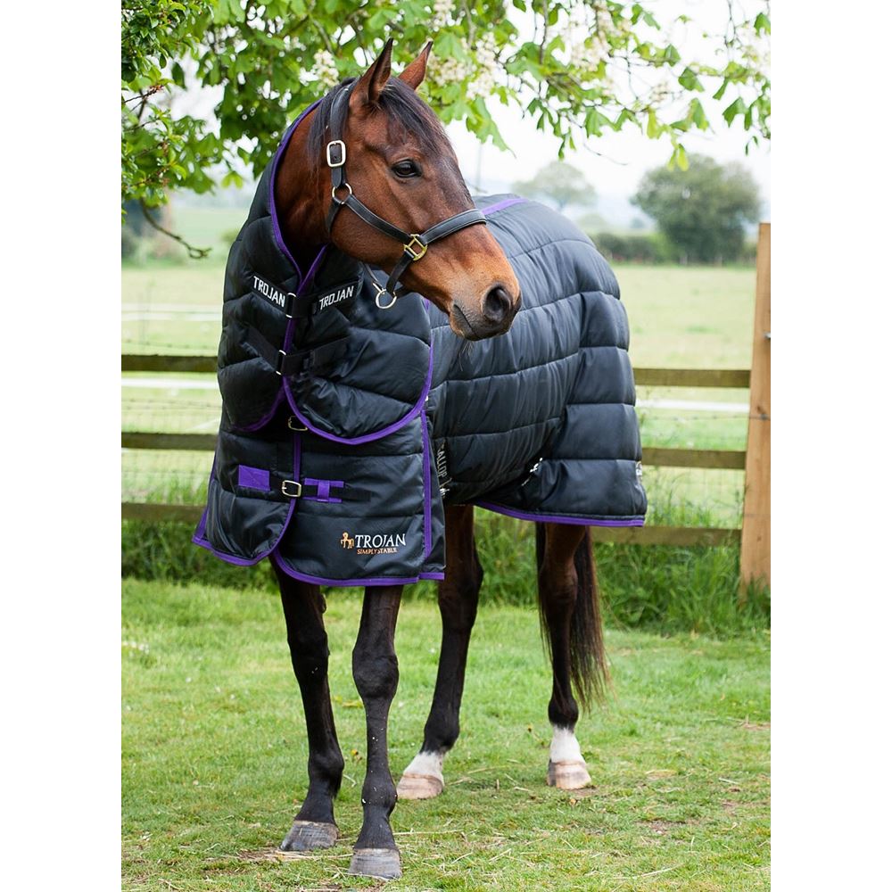 Gallop Trojan Dual 200 Stable Rug & Neck Set (Black/Purple)