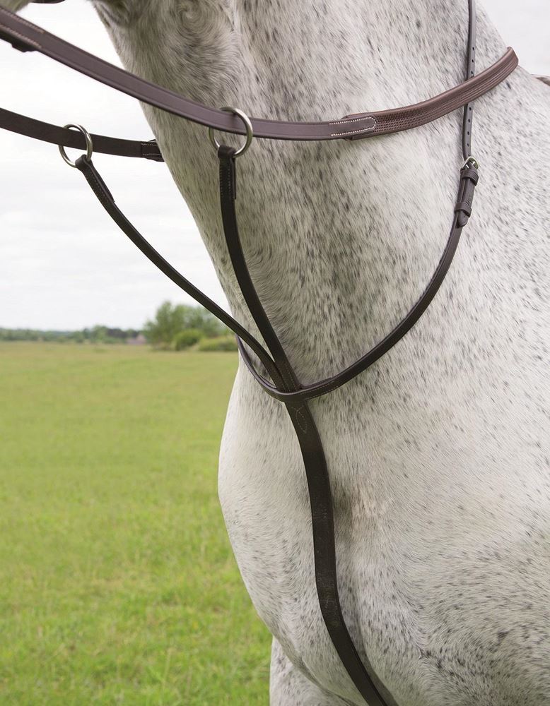Shires Blenheim Running Martingale