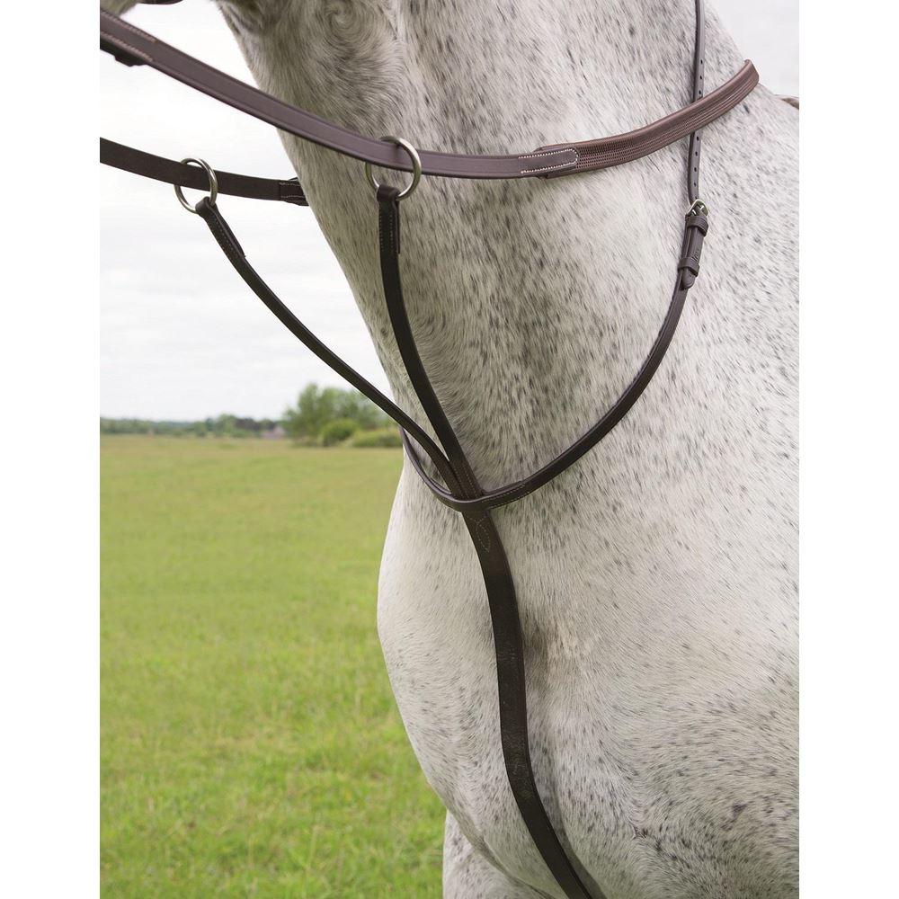 Shires Blenheim Running Martingale