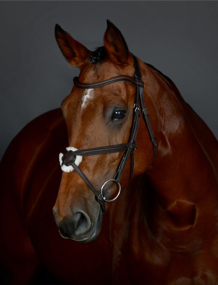 Weatherbeeta Collegiate Comfitec Opulux Plain Grackle Bridle