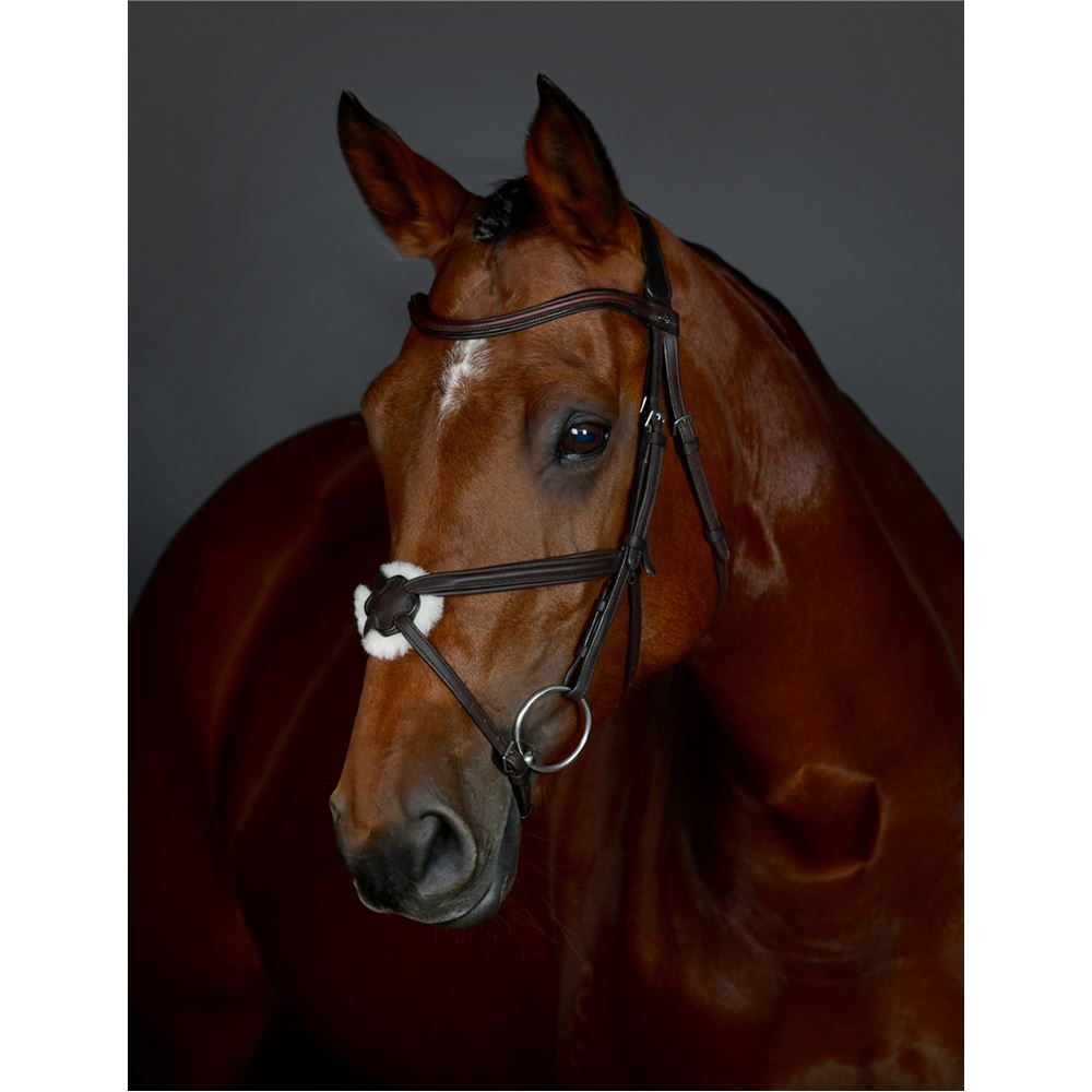Weatherbeeta Collegiate Comfitec Opulux Plain Grackle Bridle