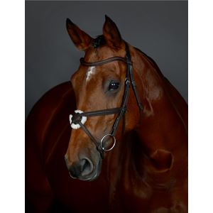 Weatherbeeta Collegiate Comfitec Opulux Plain Grackle Bridle
