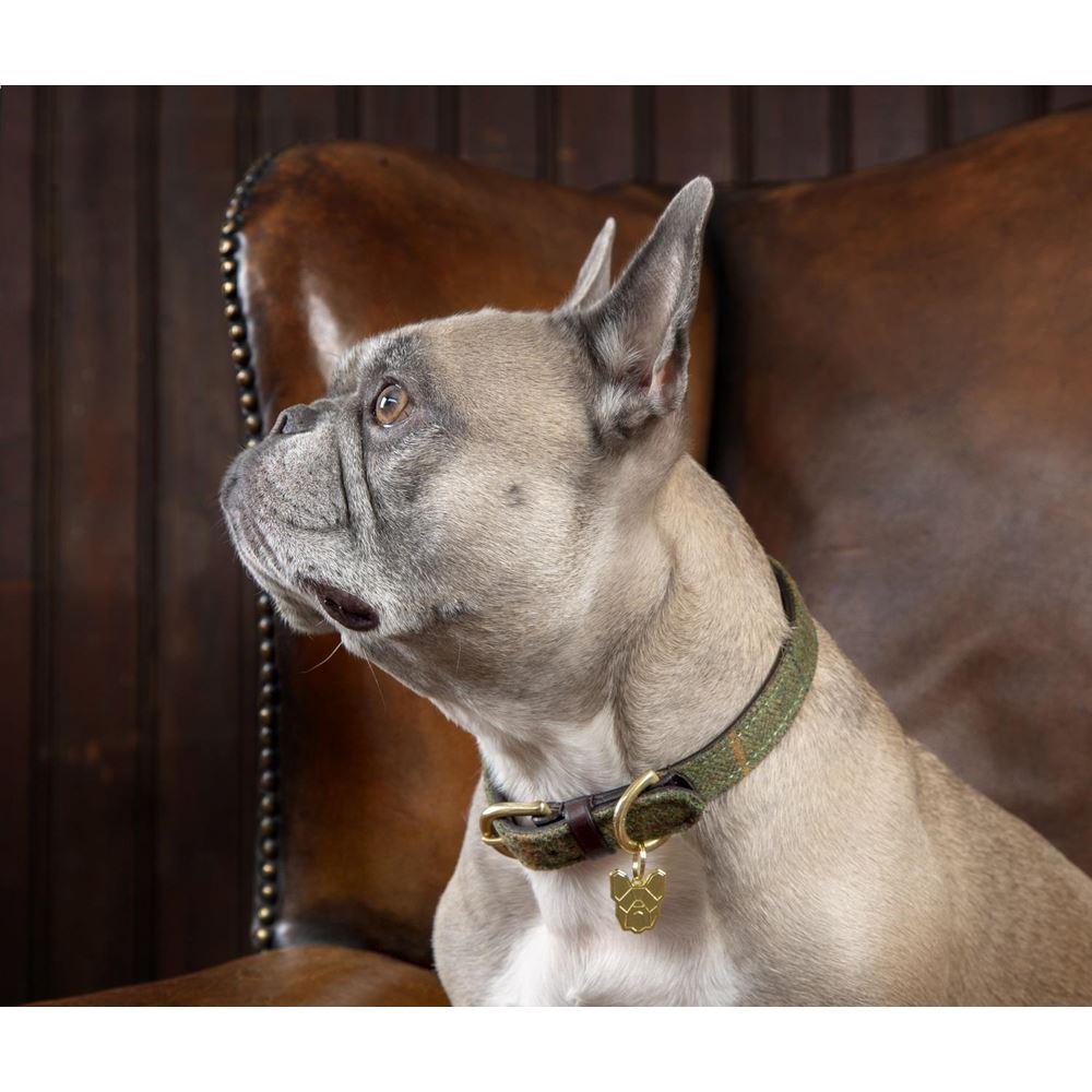 Shires Digby & Fox Tweed Dog Collar - XXS