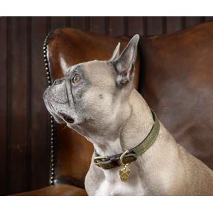 Shires Digby & Fox Tweed Dog Collar - XXS
