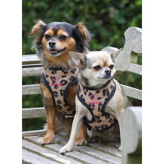 Shires Digby & Fox Leopard Print Harness (XS - XL)
