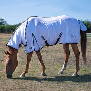 Gallop Classic Fly Rug Combo