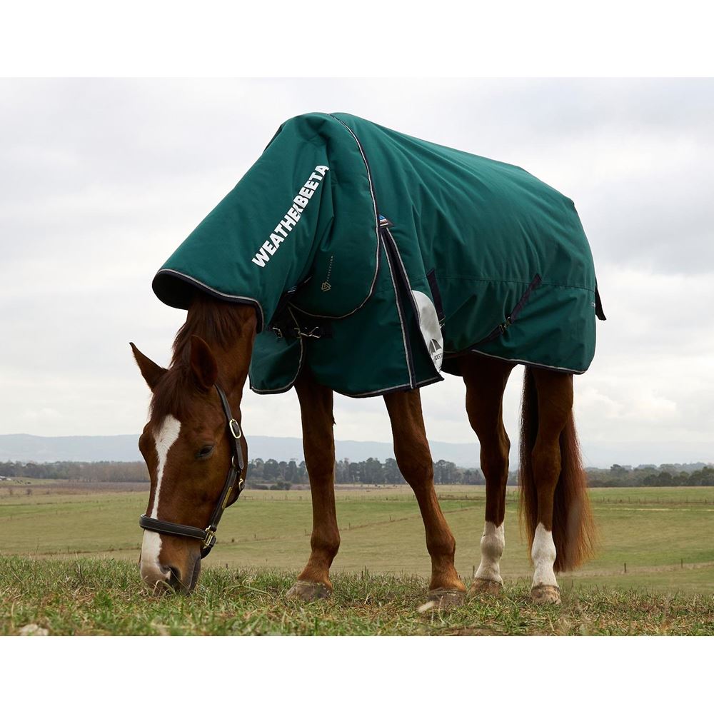 Weatherbeeta Comfitec Plus Dynamic Turnout Detach-A-Neck - 100g (Forest Green/Navy)