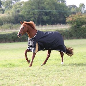 Shires Highlander Plus 200 Turnout Rug (Black)