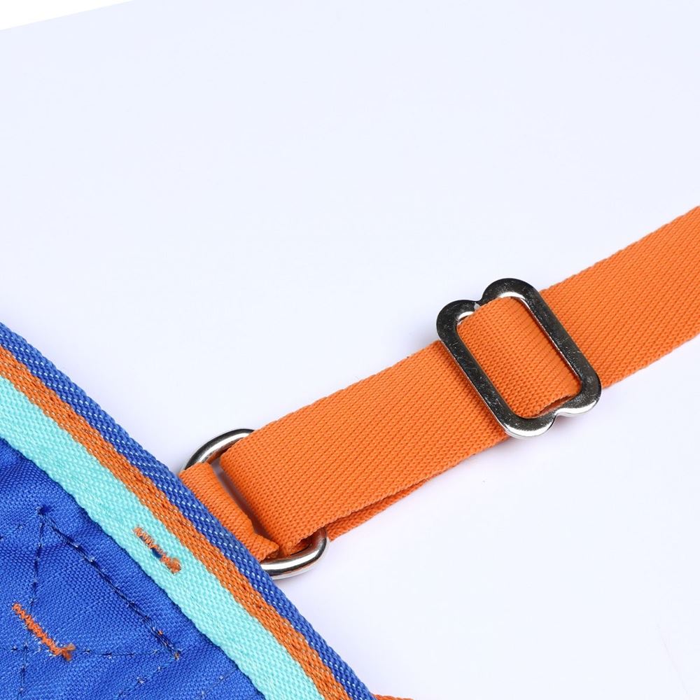 Shires Tempest Original 50g Combo Turnout Rug (Royal)