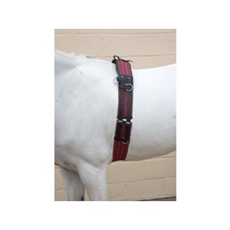 Hy Equestrian Training Roller